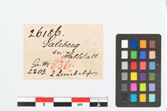 Etikett zu Bronzeknopf (NHMW-PRAE-026186)